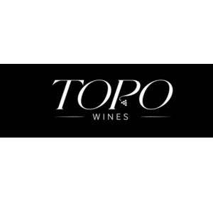 Topo Logo